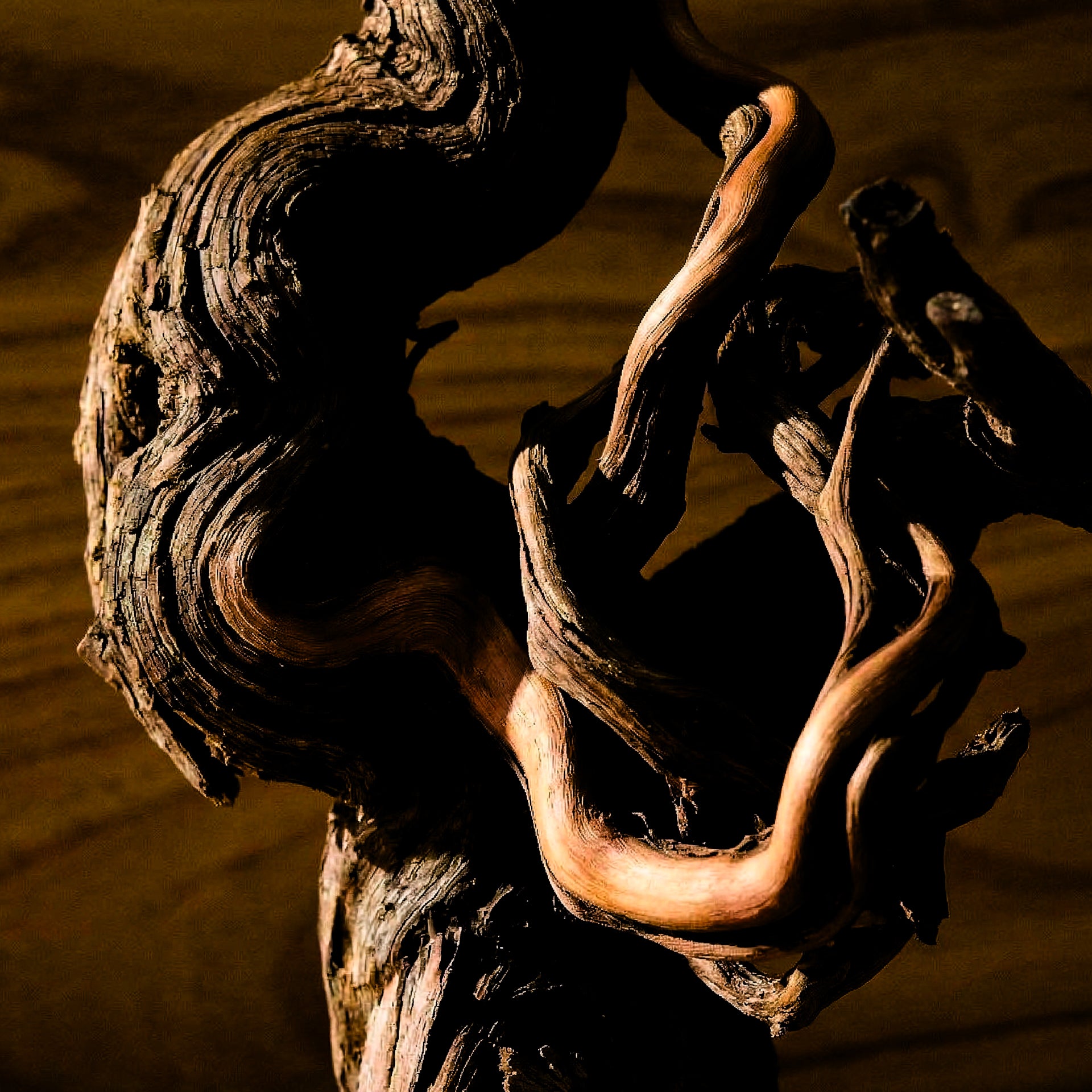MODERN WOOD｜noble – noble｜Japanese Incense Brand